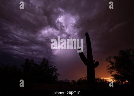 I fulmini del tramonto illuminano le nuvole dall'interno della tempesta monsonica Foto Stock