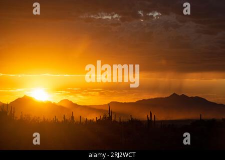 Il sole che tramonta nel deserto di sonora Foto Stock