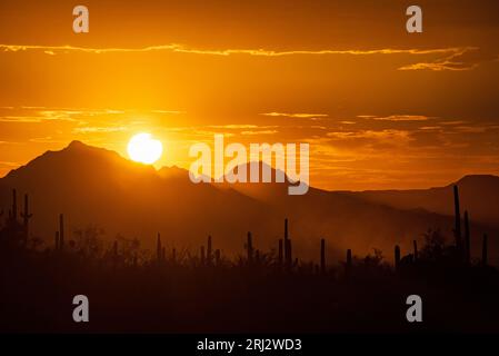 Il sole che tramonta nel deserto di sonora Foto Stock