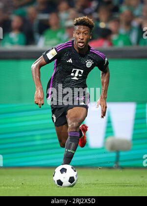 Kingsley Coman del Bayern Muenchen BREMA, GERMANIA - 18 AGOSTO: Partita di Bundesliga tra il SV Werder Brema e il FC Bayern MŸnchen a Wohninvest Weserstadion il 18 agosto 2023 a Brema, Germania. Fussball 1 . Bundesliga Saison 2023 / 2024 Werder Brema - FC Bayern MŸnchen © diebilderwelt / Alamy Stock Foto Stock