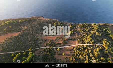 Una vista aerea delle splendide scogliere circondate da una vegetazione lussureggiante che si affaccia sulla splendida baia vicino a sa coma a Maiorca, Spagna Foto Stock