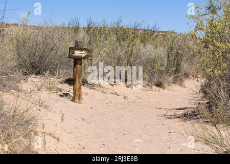 Indicazioni in legno che indicano la direzione del sentiero sulle rive sabbiose Foto Stock