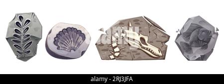 Icone archeologiche con pietre con scheletri fossili di dinosauri, piante, conchiglie e pesci preistorici. Collezione paleontologica con teschio di dino in roccia, mare Illustrazione Vettoriale