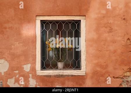 Una finestra rustica adornata con vasi di fiori vivaci e colorati contro un vecchio muro di pietra Foto Stock