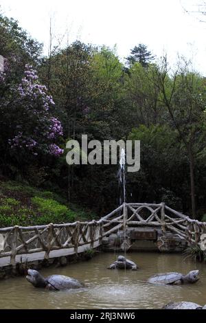 Città di Zhangjiajie, 13 aprile: Tartaruga di acqua e pietra nella zona panoramica di Zhangjiajie il 13 aprile 2012, città di Zhangjiajie, Hunan, Cina Foto Stock