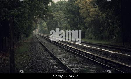 Un binario ferroviario in una foresta umida e piovosa Foto Stock