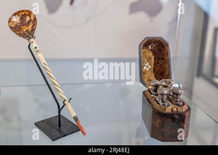 Kélonia, centro di cura delle tartarughe marine sull'isola di Réunion, dedicato alla riabilitazione, alla conservazione e all'educazione sulla protezione della vita marina. Foto Stock