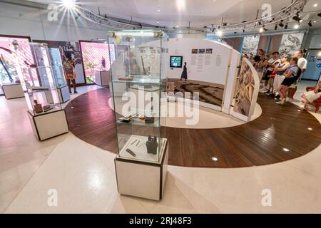 Kélonia, centro di cura delle tartarughe marine sull'isola di Réunion, dedicato alla riabilitazione, alla conservazione e all'educazione sulla protezione della vita marina. Foto Stock