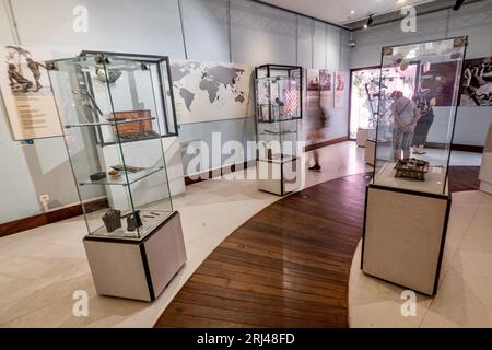 Kélonia, centro di cura delle tartarughe marine sull'isola di Réunion, dedicato alla riabilitazione, alla conservazione e all'educazione sulla protezione della vita marina. Foto Stock