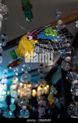 Kélonia, centro di cura delle tartarughe marine sull'isola di Réunion, dedicato alla riabilitazione, alla conservazione e all'educazione sulla protezione della vita marina. Foto Stock