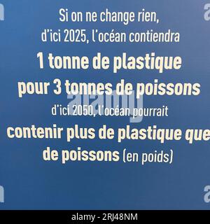 Kélonia, centro di cura delle tartarughe marine sull'isola di Réunion, dedicato alla riabilitazione, alla conservazione e all'educazione sulla protezione della vita marina. Foto Stock