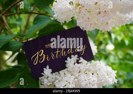 Cartolina , striscione Internet , piatto con un saluto di compleanno, con l'iscrizione - buon compleanno , lilla bianca Foto Stock