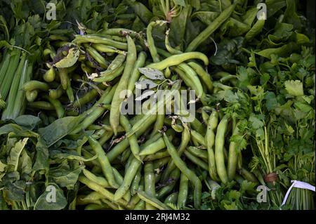 Fave fresche biologiche, spinaci, prezzemolo e sedano in mostra presso il mercato agricolo locale di Scicli, Sicilia, Italia. Foto Stock