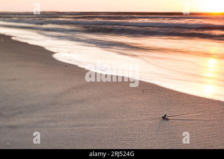 Riflesso della spiaggia al tramonto con foto panoramiche a bassa velocità dell'otturatore con funzione di spostamento dell'inclinazione Foto Stock