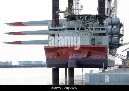 FRANCIA, porto di le Havre, vettore eolico Fred Olsen Brave Tern, un'imbarcazione speciale trasporta turbine eoliche Siemens Gamesa, torre e lama rotante per la costruzione di un parco eolico offshore da 500 MW Fecamp sulla costa della Normandia / FRANKREICH, le Havre Hafen, Spezialschiff Brave Tern mit Siemens Gamesa Windkraftanlagen für den 500 MW Offshore Windpark Fecamp von Électricité de France SA EDF Renewables, Enbridge Inc. und wpd Foto Stock