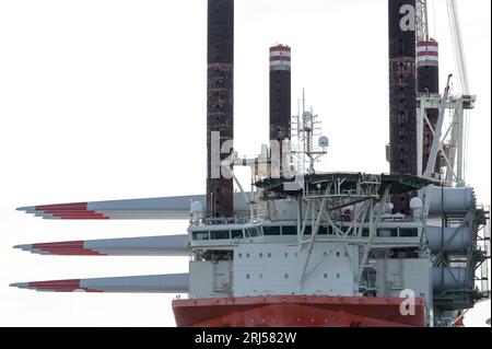 FRANCIA, porto di le Havre, vettore eolico Fred Olsen Brave Tern, un'imbarcazione speciale trasporta turbine eoliche Siemens Gamesa, torre e lama rotante per la costruzione di un parco eolico offshore da 500 MW Fecamp sulla costa della Normandia / FRANKREICH, le Havre Hafen, Spezialschiff Brave Tern mit Siemens Gamesa Windkraftanlagen für den 500 MW Offshore Windpark Fecamp von Électricité de France SA EDF Renewables, Enbridge Inc. und wpd Foto Stock