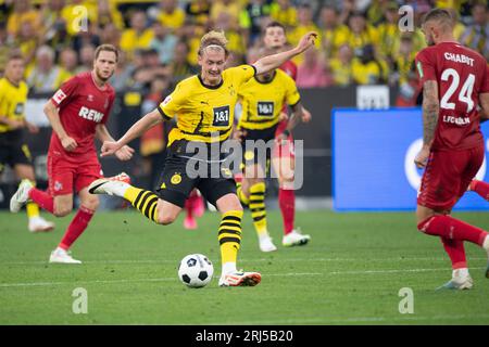 Dortmund/ Germania. 19/08/2023, Julian BRANDT (DO), azione, azione singola, calcio 1st Bundesliga, 1° giorno, Borussia Dortmund (DO) - 1° FC Colonia (K) 1: 0 il 19 agosto 2023 a Dortmund/ Germania. Le normative #DFL vietano qualsiasi uso di fotografie come sequenze di immagini e/o quasi-video # Foto Stock