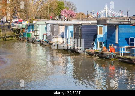 Una fila di case galleggianti ormeggiate sulle rive del Tamigi a Chelsea Reach a Londra, Inghilterra Foto Stock