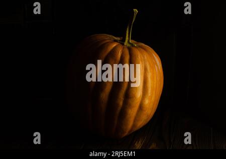 Pumkin in stile "low key", sfondo scuro, fotografia gastronomica Foto Stock