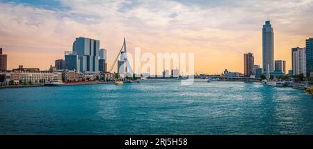 Skyline di Rotterdam al tramonto. Vista panoramica. Foto Stock