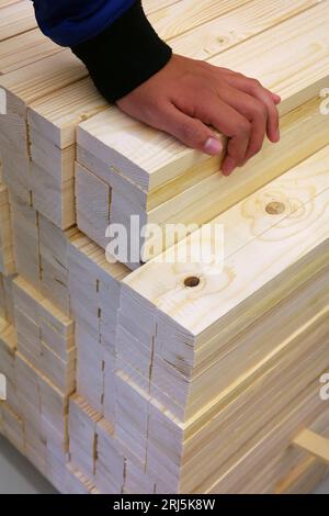 La mano si appoggia su un mucchio di legname Foto Stock