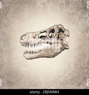 Tyrannosaurus Rex cranio Foto Stock