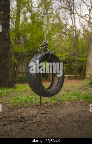 Uno pneumatico invecchiato sospeso da un albero in una foresta, legato da una corda Foto Stock