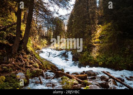 Fiume di montagna in Kazakistan, Almaty Foto Stock