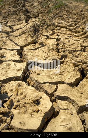 Un paesaggio arido caratterizzato da una terra incrinata. Mancanza di acqua piovana nel Regno Unito. Foto Stock