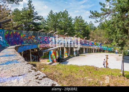 una mini rampa per skateboard completamente coperta di graffiti nel mezzo di una foresta Foto Stock