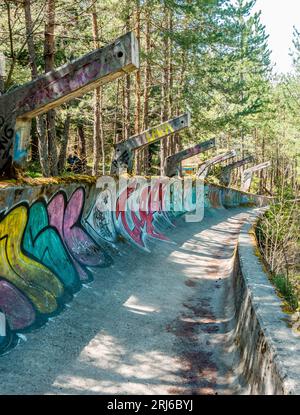 una mini rampa per skateboard completamente coperta di graffiti nel mezzo di una foresta Foto Stock