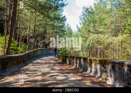 una mini rampa per skateboard completamente coperta di graffiti nel mezzo di una foresta Foto Stock