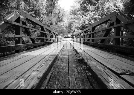 Un colpo in scala di grigi di un lungo ponte di legno in una foresta Foto Stock