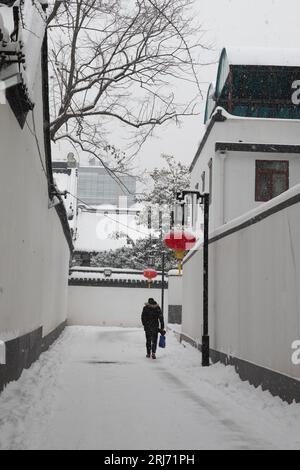 Le forti nevicate di Nanchino, la città coperta da un mondo bianco e bellissimo Foto Stock