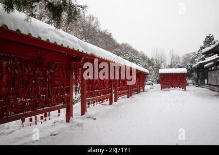Le forti nevicate di Nanchino, la città coperta da un mondo bianco e bellissimo Foto Stock