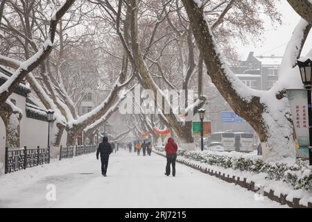Le forti nevicate di Nanchino, la città coperta da un mondo bianco e bellissimo Foto Stock