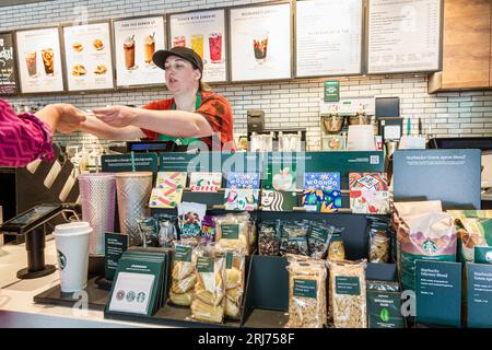 Charlotte North Carolina, Starbucks Coffee, barista donna donna donna donna, adulto, residente, interno interno interno, vendita, spazio retail, scaffali, canapa Foto Stock