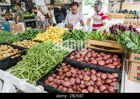 Charlotte North Carolina, Charlotte Regional Farmers Market, patate rosse fagioli verdi squash giallo, Black African, etnia etnica, minoranza, residenti ma Foto Stock
