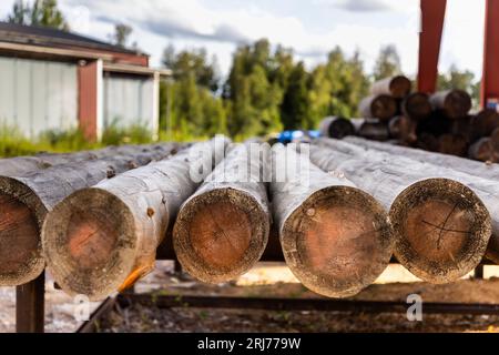 Segheria e produzione di case di tronchi presso la Dalatimmer Company, Nusnäs, Svezia. Foto Stock