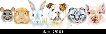 Bordo per animali domestici. Disegno ad acquerello dipinto a mano, isolare la clip art su sfondo bianco. Design banner Foto Stock