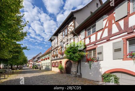 Centro storico di Vogtsburg-Burkheim, Kaiserstuhl, Baden-Wuerttemberg, Germania, Europa Foto Stock