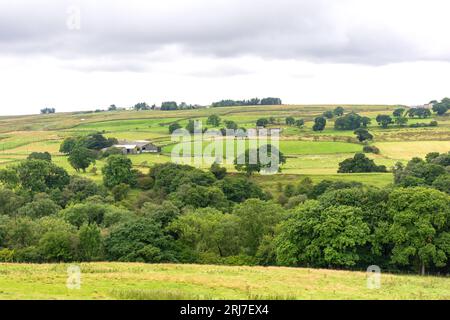 Terreni agricoli (Pennines) a Healeyfield vicino a Consett, contea di Durham, Inghilterra, Regno Unito Foto Stock