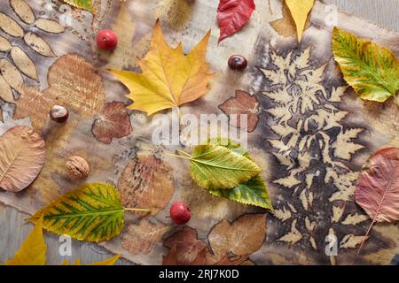 Foglie autunnali, noci e bacche adagiate su strisce di tessuto tinte a mano con la tecnica della stampa ecocompatibile Foto Stock