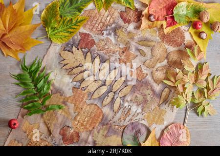 Foglie autunnali, noci e bacche adagiate su strisce di tessuto tinte a mano con la tecnica della stampa ecocompatibile Foto Stock