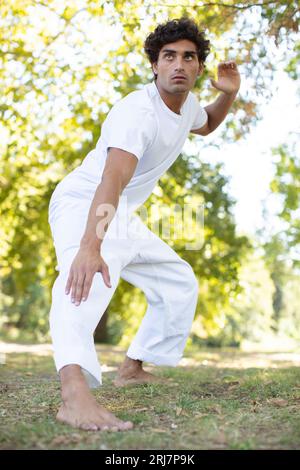 uomo asiatico sano con posa tai chi Foto Stock