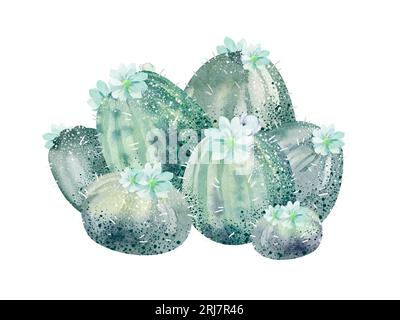 Illustrazione ad acquerello di cactus isolati su sfondo bianco. Illustrazioni floreali per progetti, biglietti di auguri e inviti. Foto Stock