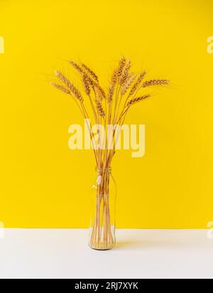 Bouquet di grano dorato in vaso realizzato con bottiglia di vetro davanti a sfondo giallo, concetto STILL Life. Foto Stock