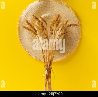 mazzo di spighe decorative di grano giallo in vaso di vetro verde