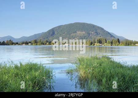 Neilson Regional Park a Mission, British Columbia, Canada Foto Stock