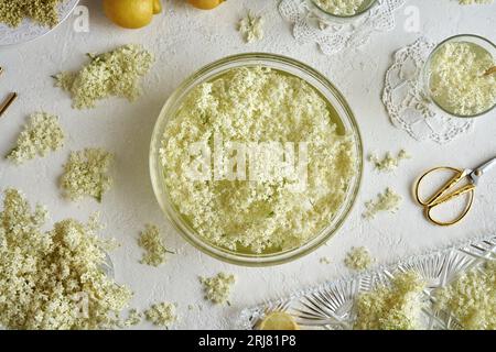 Fiori di sambuco bianchi raccolti in primavera macerando in una ciotola d'acqua - preparazione di sciroppo di erbe Foto Stock